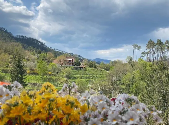 Bed & Breakfast La Scortica